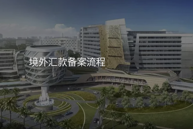 境外汇款备案流程