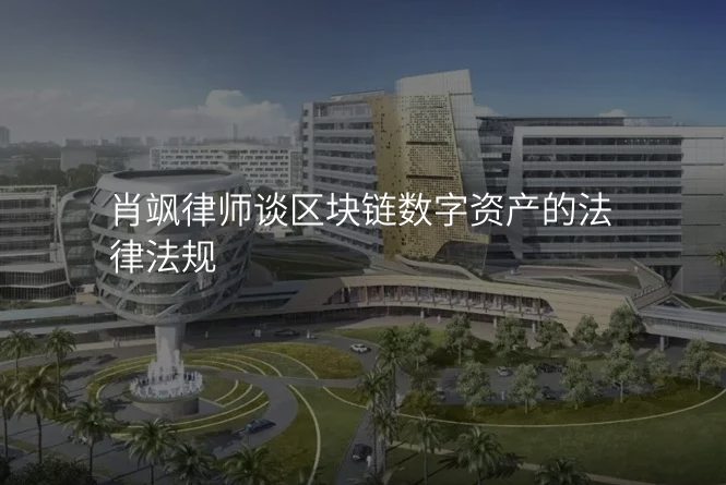 肖飒律师谈区块链数字资产的法律法规