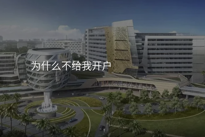 为什么不给我开户