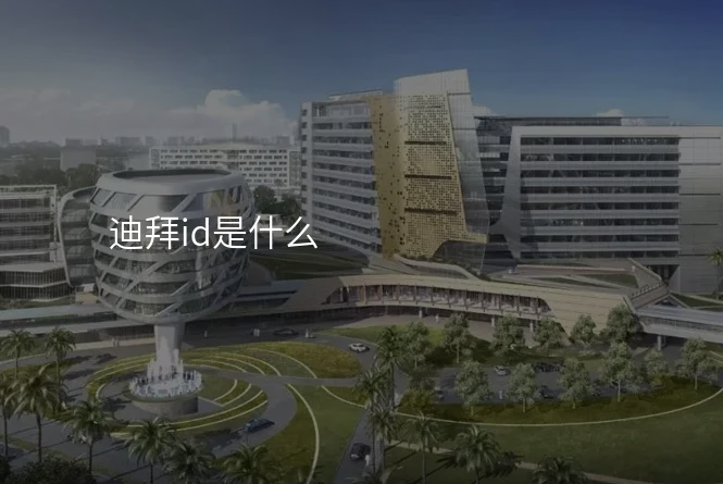 迪拜id是什么