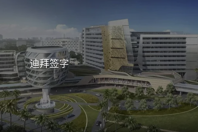 迪拜签字
