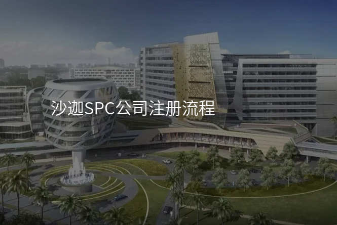 沙迦SPC公司注册流程
