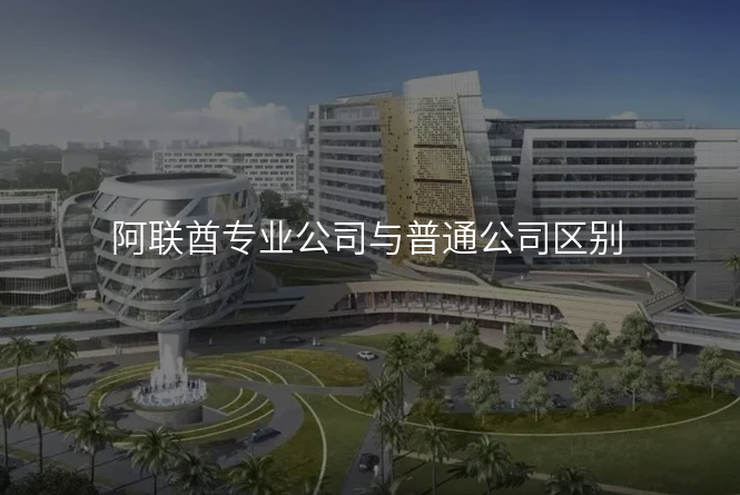 阿联酋专业公司与普通公司区别