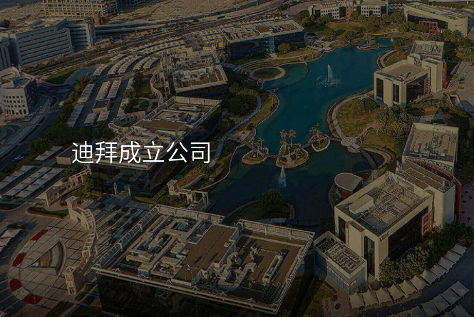 迪拜成立公司