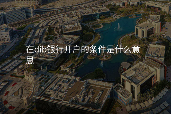 在dib银行开户的条件是什么意思