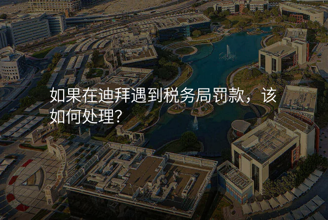 如果在迪拜遇到税务局罚款,该如何处理?