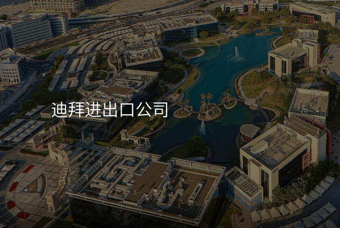 迪拜进出口公司