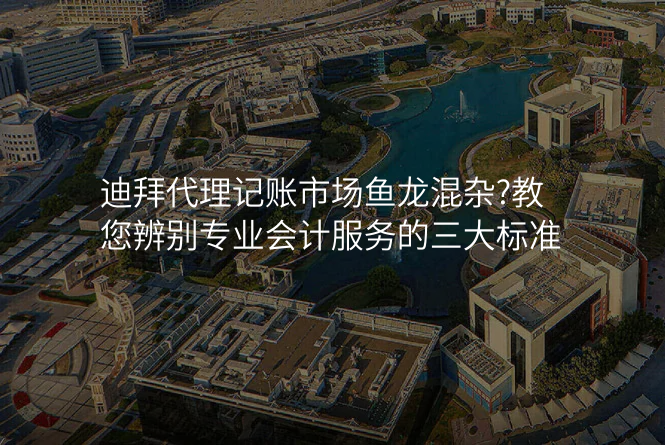 迪拜代理记账市场鱼龙混杂?教您辨别专业会计服务的三大标准