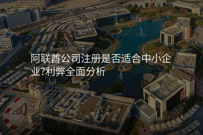 阿联酋公司注册是否适合中小企业?利弊全面分析