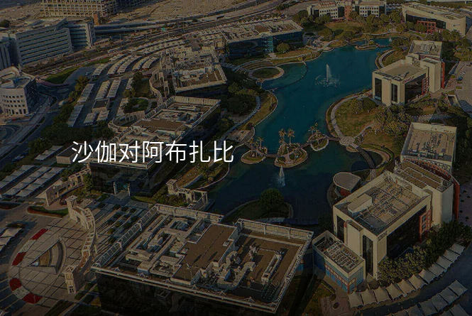 沙伽对阿布扎比