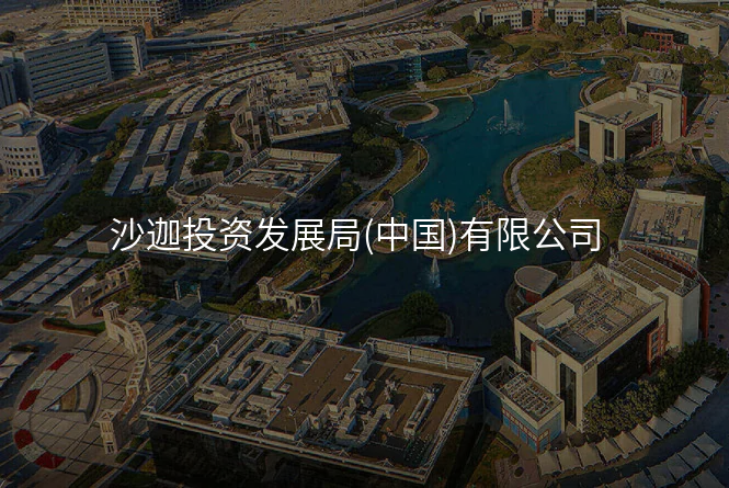 沙迦投资发展局(中国)有限公司