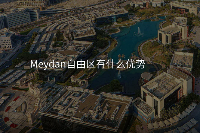 Meydan自由区有什么优势