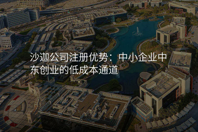 沙迦公司注册优势:中小企业中东创业的低成本通道