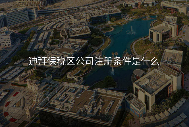 迪拜保税区公司注册条件是什么