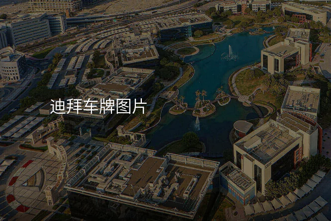 迪拜车牌图片