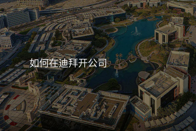 如何在迪拜开公司