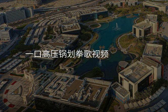 一口高压锅划拳歌视频