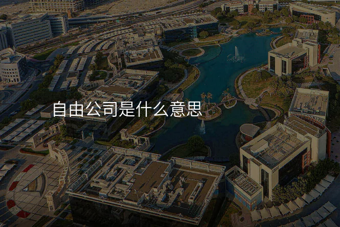 自由公司是什么意思