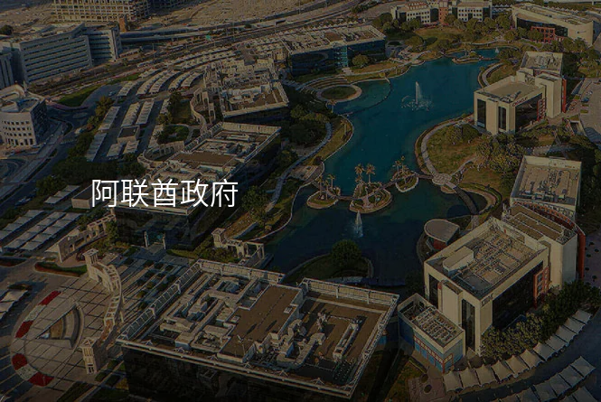 阿联酋政府