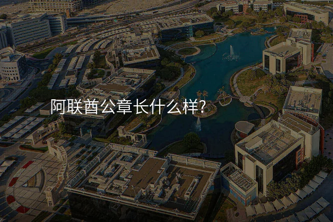 阿联酋公章长什么样?