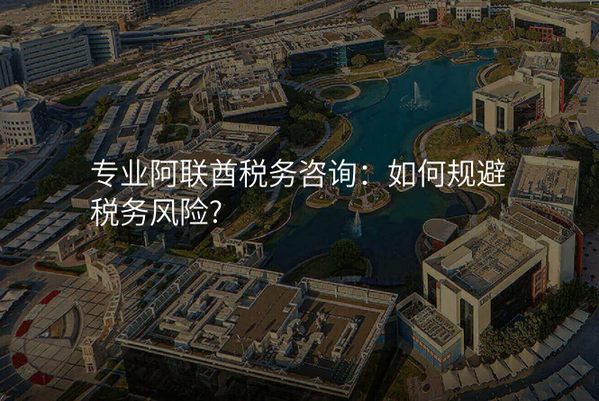 专业阿联酋税务咨询:如何规避税务风险?