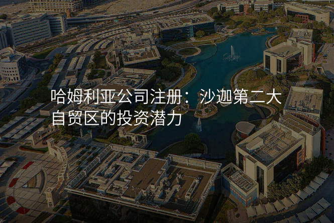 哈姆利亚公司注册:沙迦第二大自贸区的投资潜力