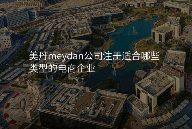 美丹meydan公司注册适合哪些类型的电商企业