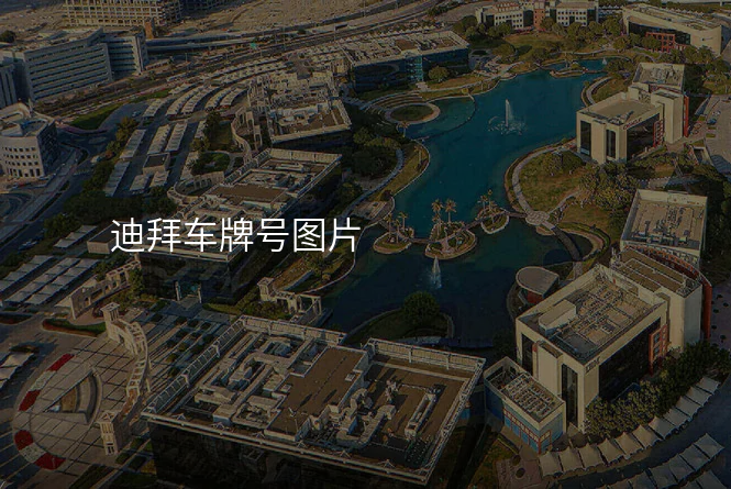 迪拜车牌号图片