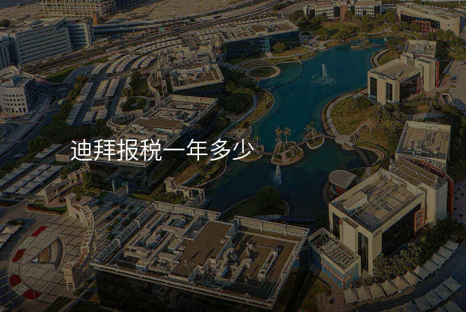 迪拜报税一年多少
