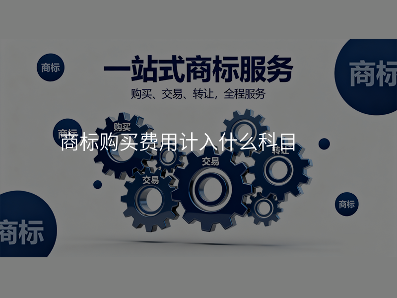 商标购买费用计入什么科目