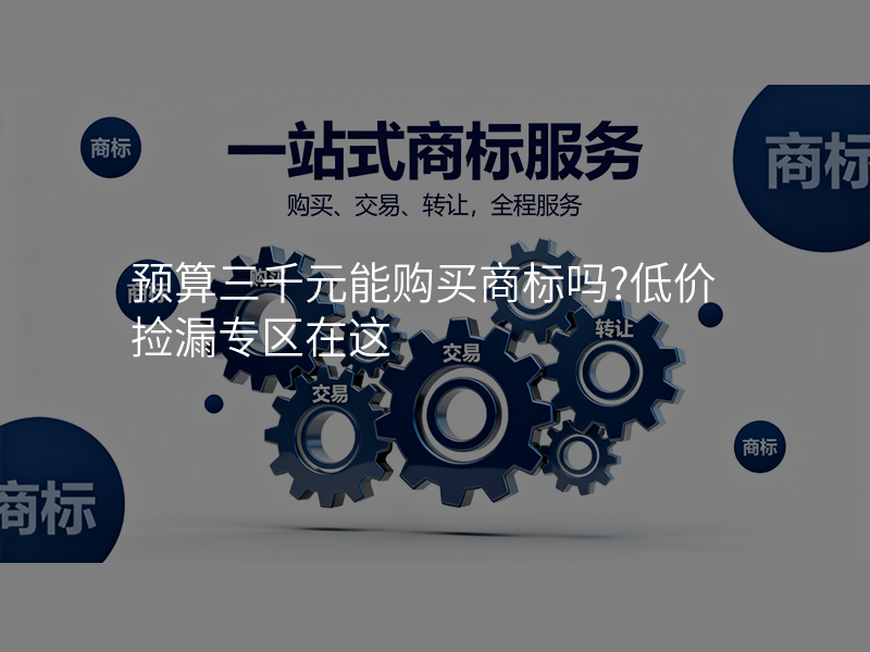 预算三千元能购买商标吗?低价捡漏专区在这