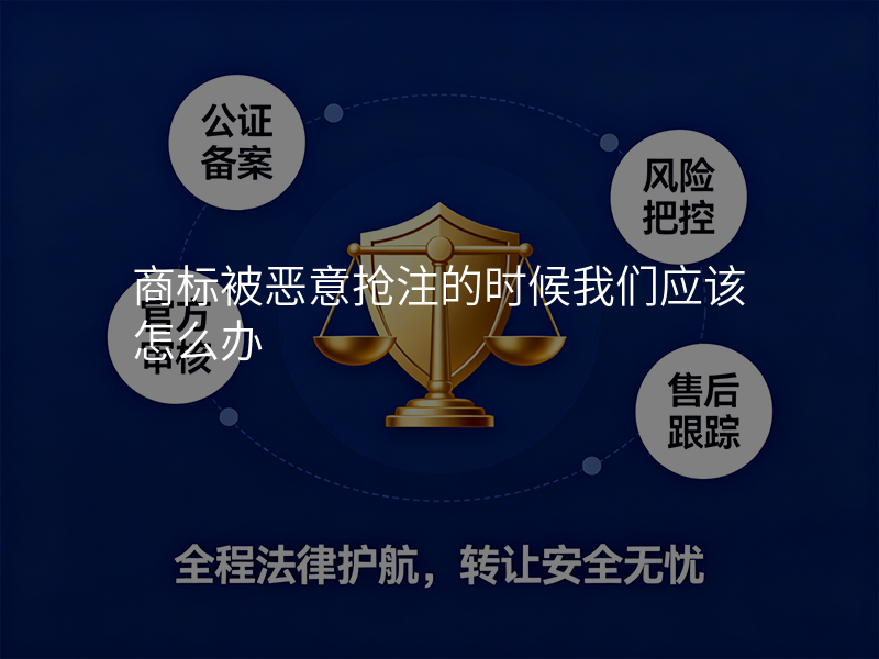 商标被恶意抢注的时候我们应该怎么办