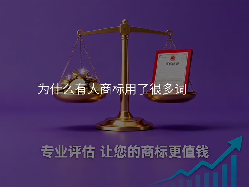 为什么有人商标用了很多词