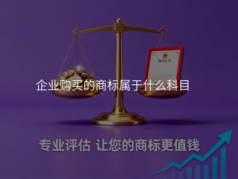 企业购买的商标属于什么科目